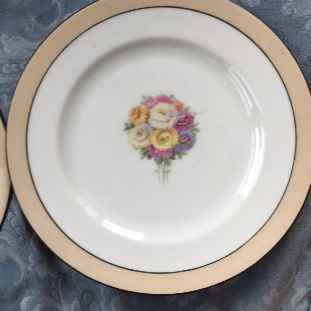 4 R S Germany floral plate set